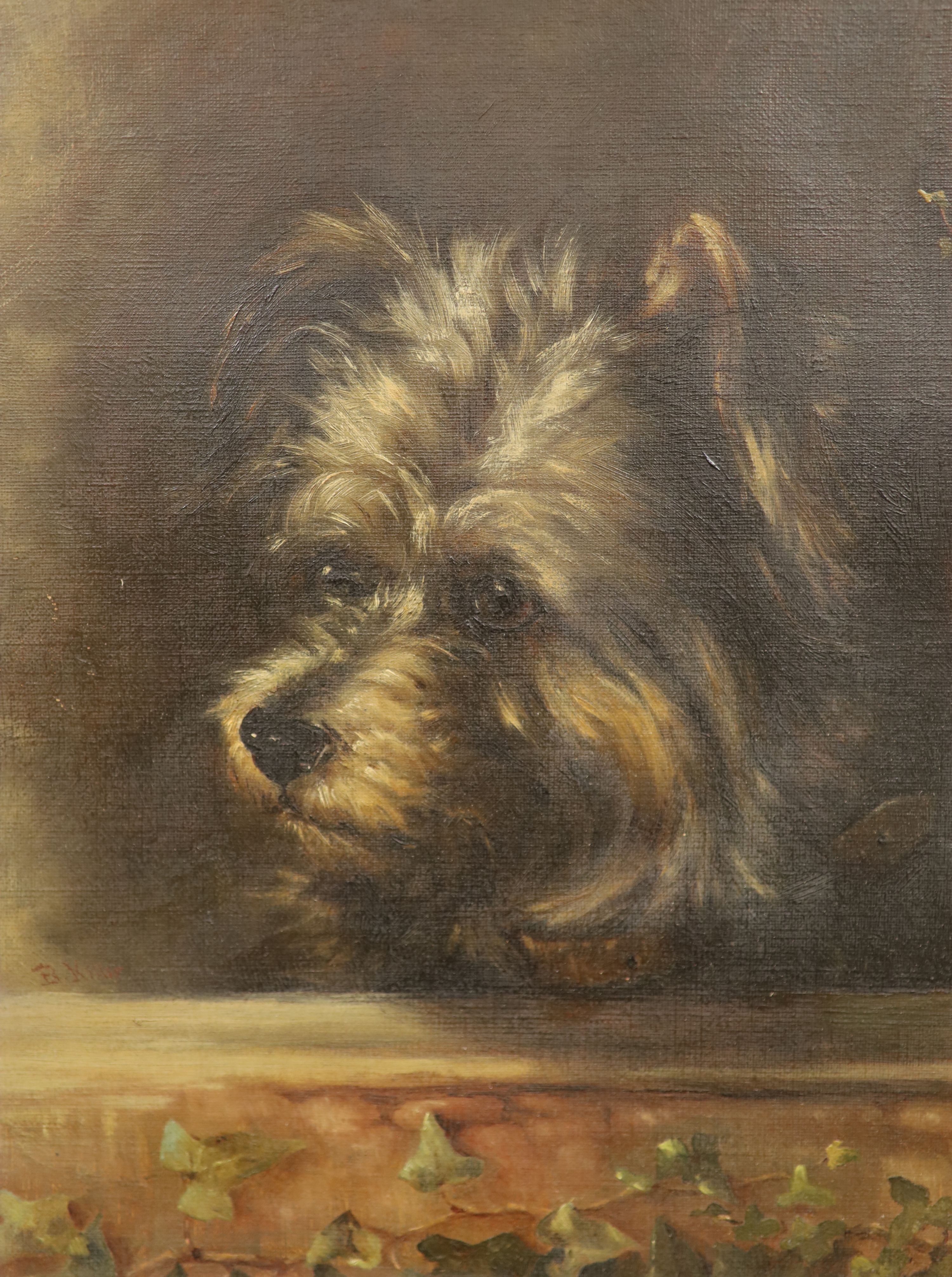 Manner of Sir Edwin Landseer, oil on canvas, ‘Impudence’, study of a terrier, 32 x 27cm.